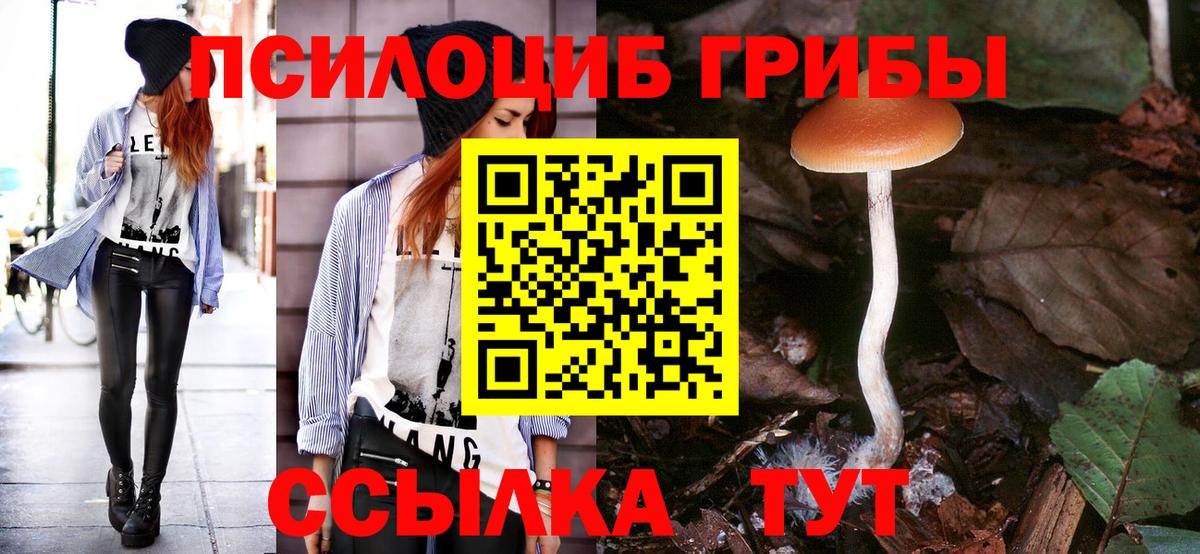 Ржев  Галлюциногенные грибы Cubensis  Вход с VPN 