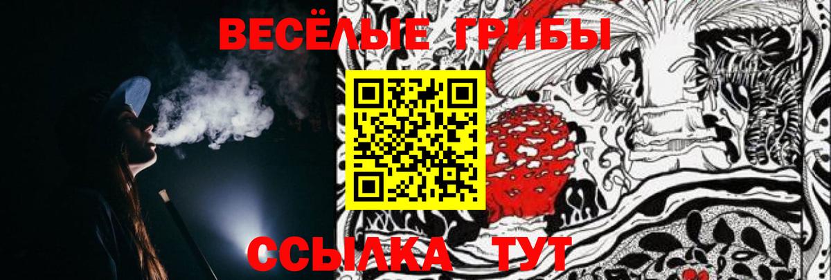 Галлюциногенные грибы Psilocybine cubensis Ржев